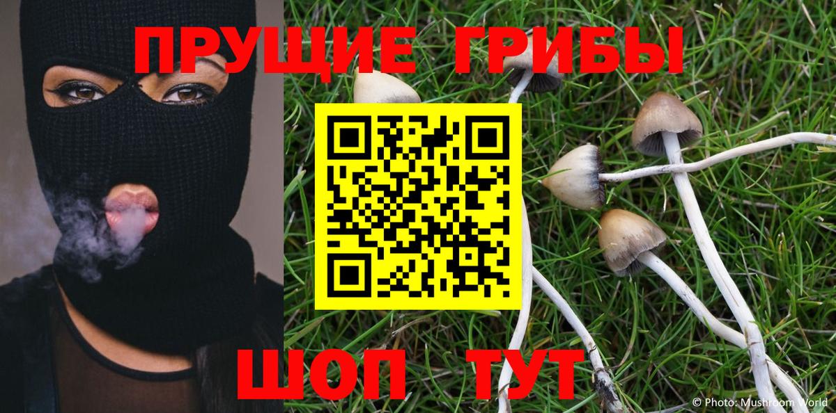 Псилоцибиновые грибы Cubensis Зеленокумск