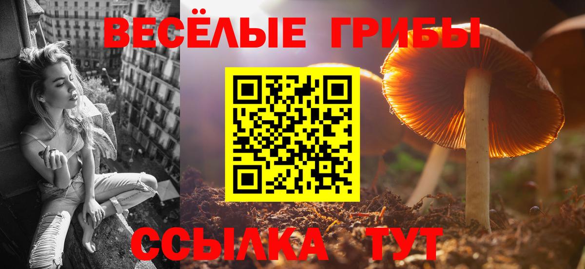 Галлюциногенные грибы MAGIC MUSHROOMS  Вход с VPN  Зеленокумск  Псилоцибиновые грибы прущие грибы 